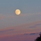 Grapefruit Moon