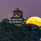 中秋の名月と岐阜城⑤