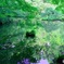 小さな池