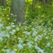 E775D071-8619-4701-8823-F5AB3BC2BD1F