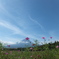 DSCF2795