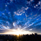 The Sunset 3