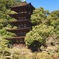 紅葉にはもう少し…