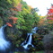 奥日光の紅葉３