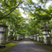 高山寺　灯籠