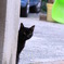 ちらり