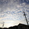 雲の群れ