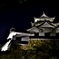 月明　彦根の古城