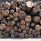 a lot of logs