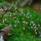 CSC_0196