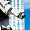 Genki dama, #odaiba #gandum 