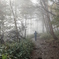 walking in the fog