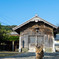 朝。神社で出会ったネコさん