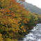 竜頭の滝　上流