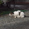 狙いを定めて…