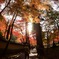 広島県三原市 佛通寺 紅葉