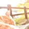 尾道 お昼寝中の猫