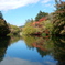 雲場池 紅葉進行中