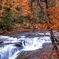 紅葉と滝