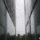 雨