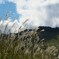 D71_5862_R
