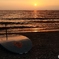 Surfboard