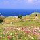 空と海が溶け合う場所