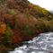 秋の湯川