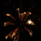 HANABI_12