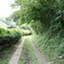 散歩道