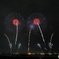 夜空に咲くたんぽぽ