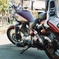 xv250 ビラーゴ