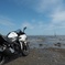 YZF-R25
