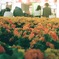 FlowerArtMuseum
