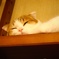 zzz... 
