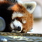 おねむ