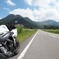 YZF-R25