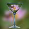 カクテルグラスの中で至福のひと時を　♪♪