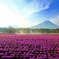 日本一の山