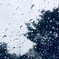 雨