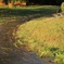 雨上がり