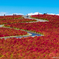 winding road