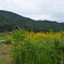 飛騨高山　白川郷３