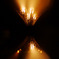 Burning Tokae