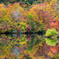 鎌池の紅葉