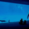 水族館