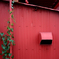 Red！Green！