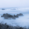 南三陸の海