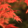 818FED2D-1876-4E09-857F-D4C502074393