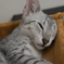 「眠いのであとにしてください」